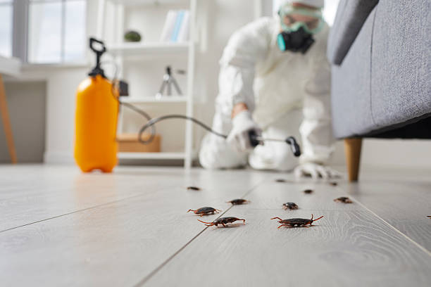 Commercial Kitchen Cockroach Control in Rush City